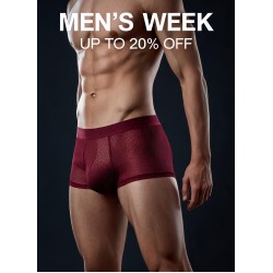 Burgundy Mesh Underwear Set