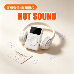 Light Music BGM Pack (100 Tracks)